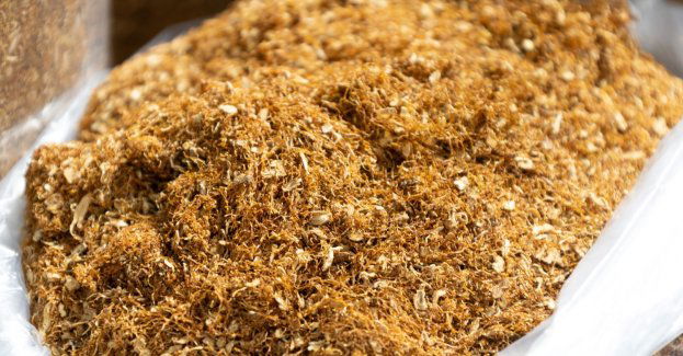 Chcieli oszukać Skarb Państwa na 4,5 mln zł, trafili do aresztu