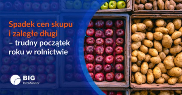 BIG InfoMonitor: Spadek cen skupu i wysokie zobowiązania - trudny początek roku w rolnictwie