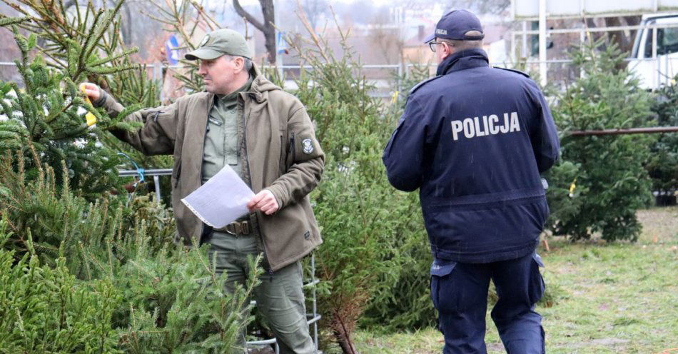 zdjęcie: Dzielnicowi wraz ze Strażnikami Leśnymi kontrolują punkty sprzedaży choinek / fot. KPP w Bytowie