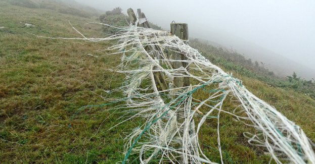 Ostrzegaliśmy przed silnym wiatrem