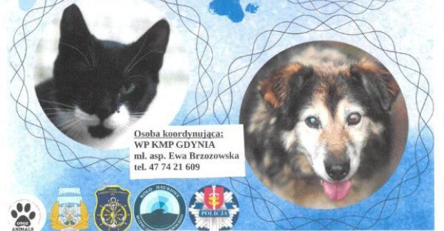 Pomóżmy zwierzakom