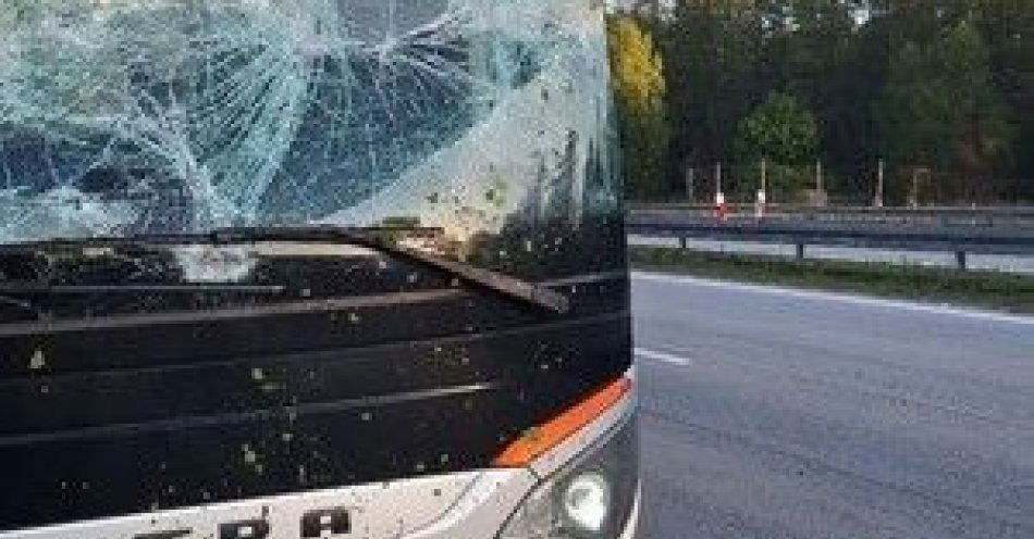 zdjęcie: Kolizja autobusu z konarem na A4 / fot. KPP w Złotoryi