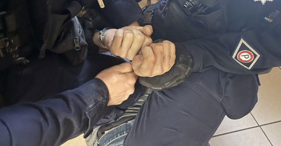 zdjęcie: Akcja policji na Orlej zakończona pięcioma zatrzymaniami / fot. KMP w Żorach