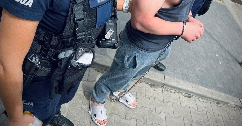 zdjęcie: Pijany wandal zarysował kilka aut / fot. KMP w Łodzi