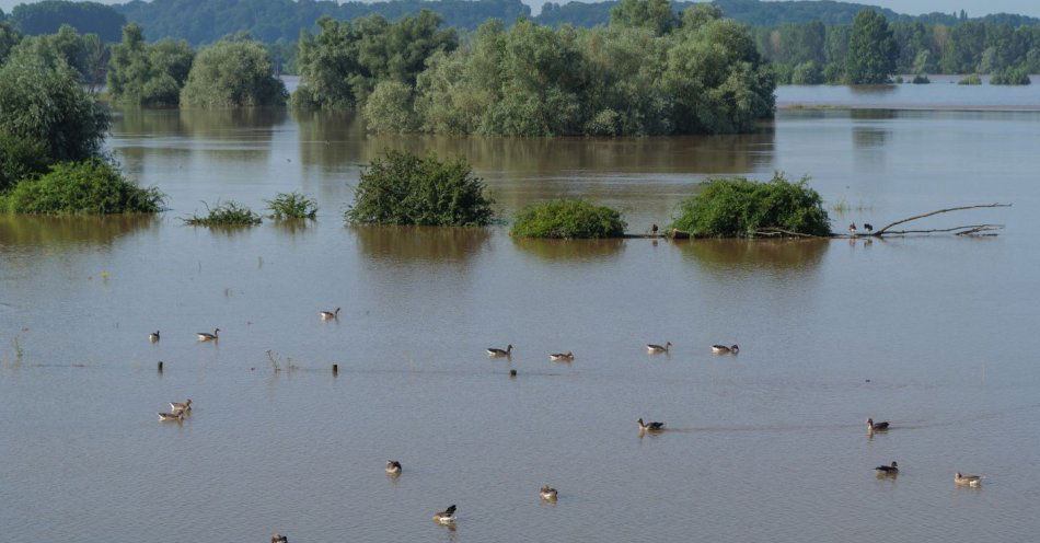 zdjęcie: W zlewni Nysy Kłodzkiej rozwiązania przeciwpowodziowe muszą być kompleksowe / v10307754