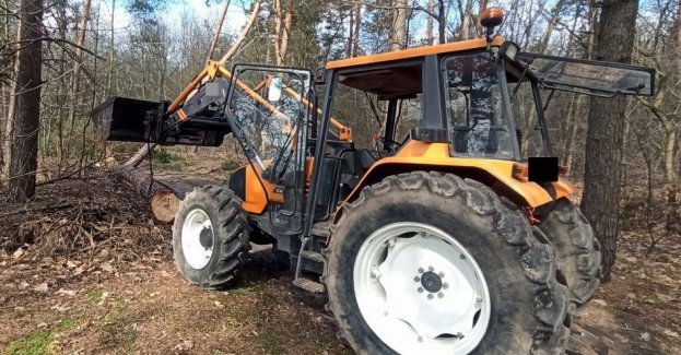 Tragiczny wypadek podczas wycinki drzewa