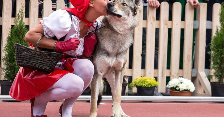 zdjęcie: Mózgi psów są dostrojone do mowy kobiet / fot. PAP