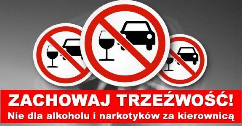 zdjęcie: Pijany kierowca bmw wjechał do rowu / fot. KPP w Przysusze