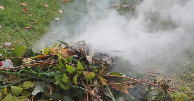 Miasto apeluje, aby nie palić liści