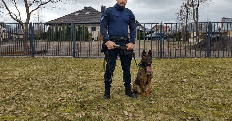 zdjęcie: Warna zasili szeregi wałeckiej policji jako pies służbowy / fot. KPP w Wałczu 1