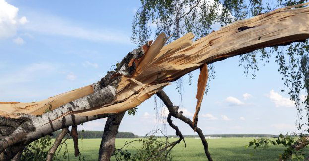 Zniszczenia po nawałnicy, najtrudniejsza sytuacja w powiecie łańcuckim