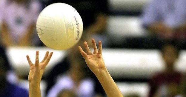 Ekstraklasa siatkarzy - Toniutti zostaje w Jastrzębskim Węglu