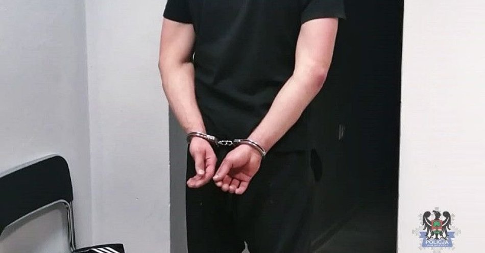 zdjęcie: Masowe zatrzymania w Wałbrzychu dziewięcioro poszukiwanych / fot. KMP w Wałbrzychu