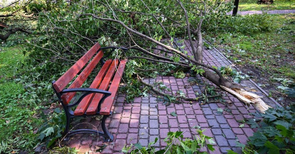 zdjęcie: Około 300 zgłoszeń po burzach / fot. PAP