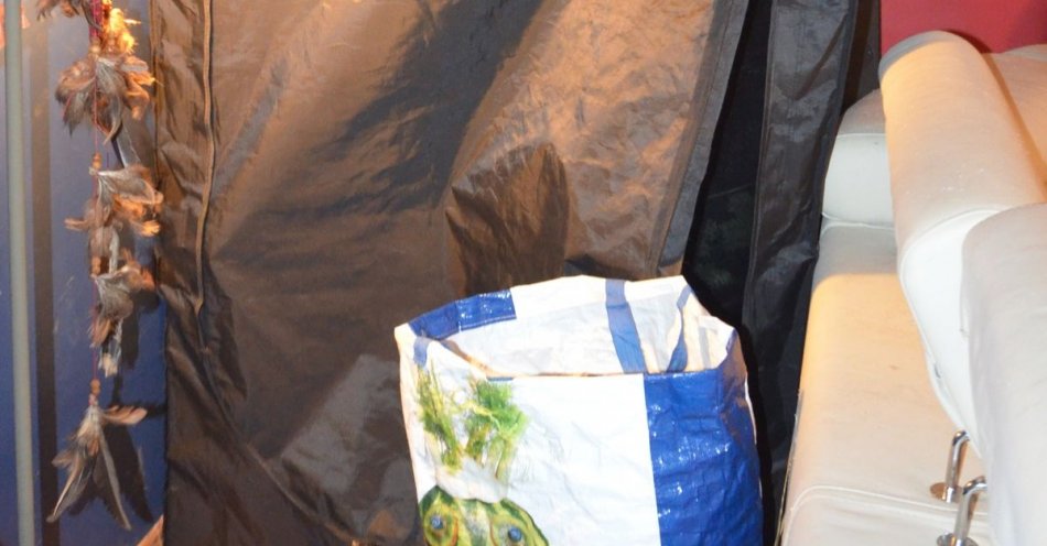 zdjęcie: Dwie osoby zatrzymane z narkotykami. Jedna z nich mała profesjonalne oprzyrządowanie do hodowli konopi indyjskich i ponad 1,5 kilograma marihuany / fot. KMP w Wałbrzychu