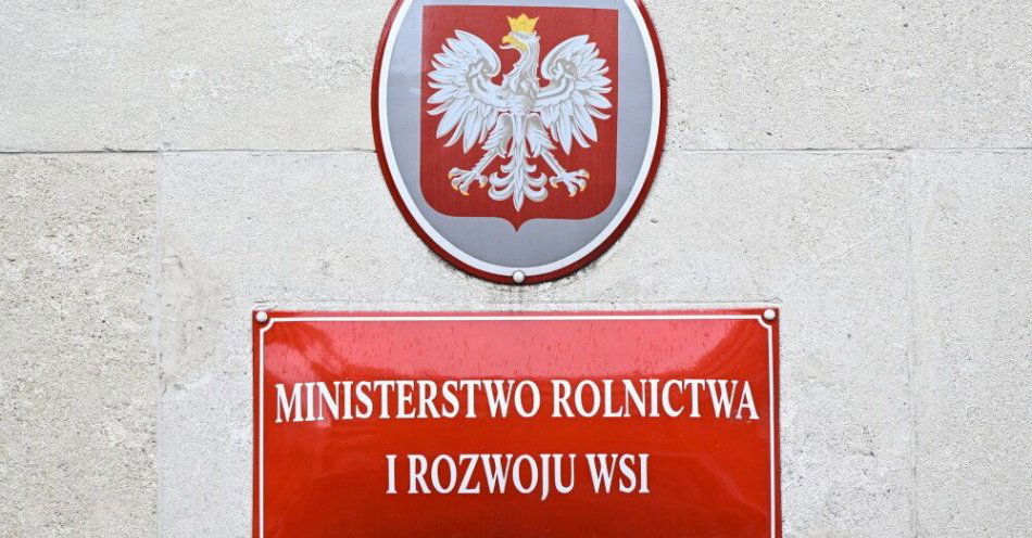 zdjęcie: Aktywność rolnicza będzie weryfikowana na podstawie realnych kosztów / fot. PAP