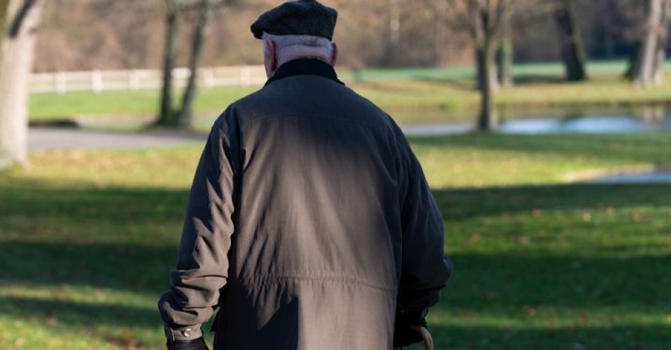 zdjęcie: Sukcesem zakończyły się poszukiwania zaginionego 70-latka / pixabay/6066124