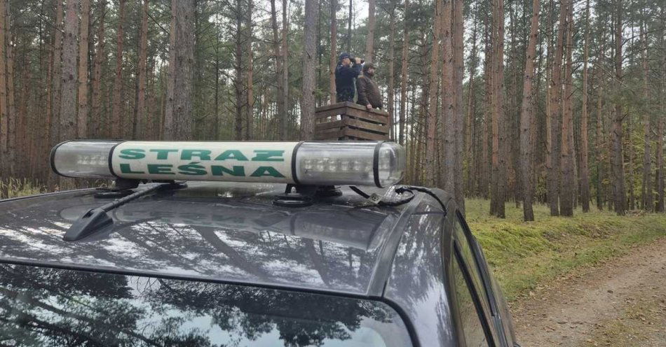 zdjęcie: Wzmożone patrole w lasach przed Bożym Narodzeniem / fot. KPP Mogilno