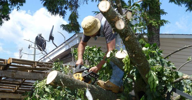 Od wtorku liczenie strat i sprzątanie Gniezna po nawałnicy