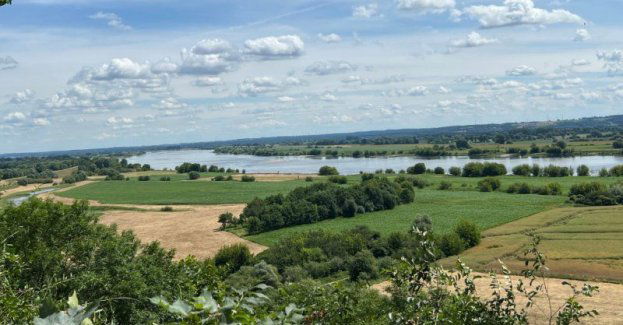 Rajd rowerowy do pałacu w Sartowicach