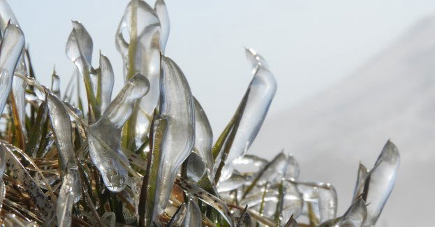 Ostrzeżenia pierwszego stopnia przed marznącymi opadami