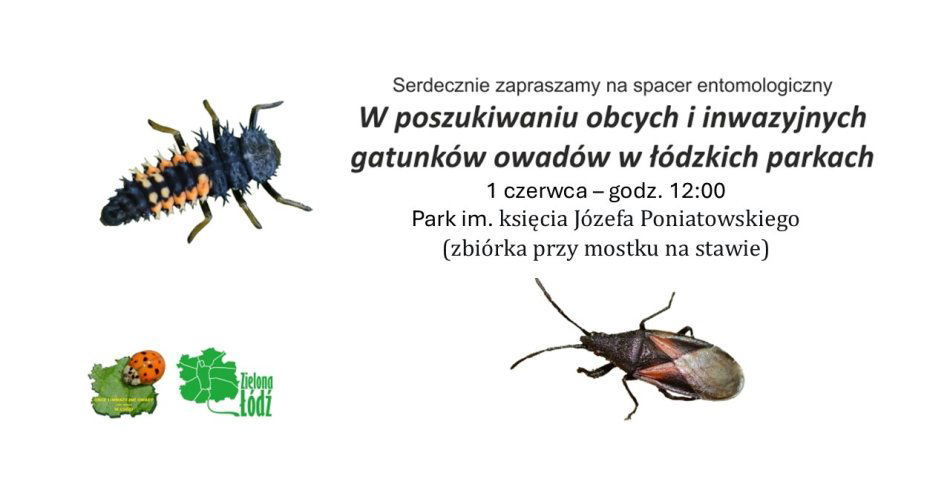 zdjęcie: Zielona Łódź zaprasza na spacer / fot. nadesłane