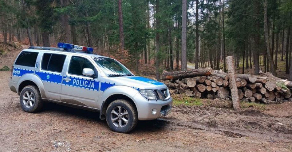 zdjęcie: Pocisk z II wojny znaleziony w Piechowicach. Policja apeluje / fot. KMP w Jeleniej Górze