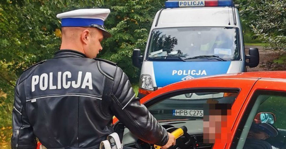 zdjęcie: Policjanci sprawdzali uprawnienia kierowców / fot. KMP w Jeleniej Górze