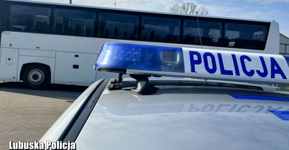 zdjęcie: O bezpieczną podróż najmłodszych zadbali policjanci ruchu drogowego / fot. KPP Sulęcin