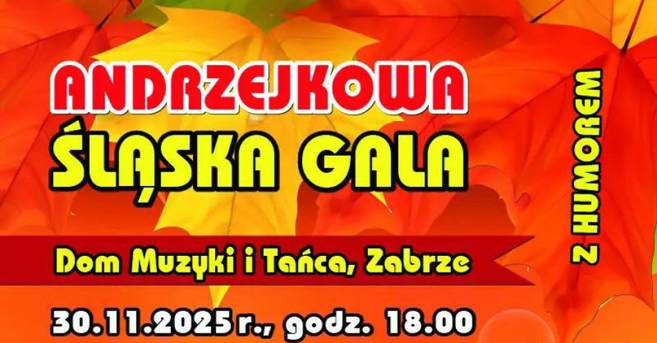 zdjęcie: Andrzejki 2025! / kupbilecik24.pl / Andrzejki 2025!