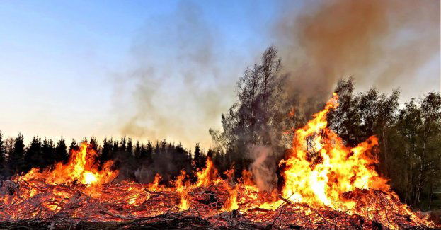 Niedaleko Płocka płonęło kilkaset balotów słomy