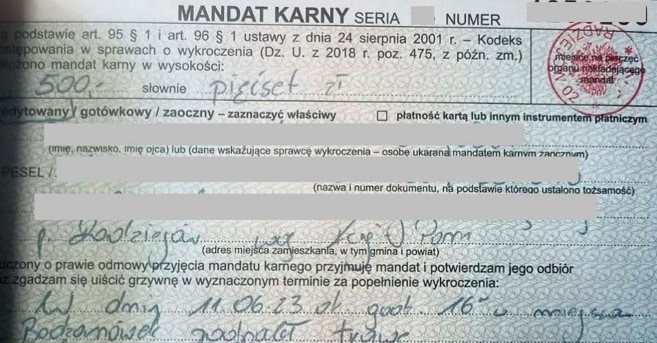 zdjęcie: Podpalił trawę dla żartu, został ukarany wysokim mandatem / fot. KPP w Radziejowie