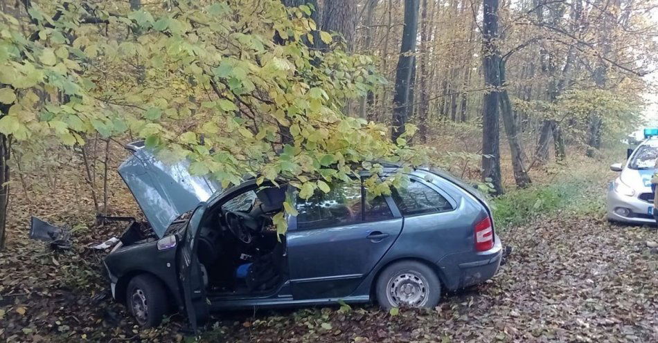 zdjęcie: Stracił panowanie nad pojazdem i uderzył w drzewo / fot. KPP Ryki