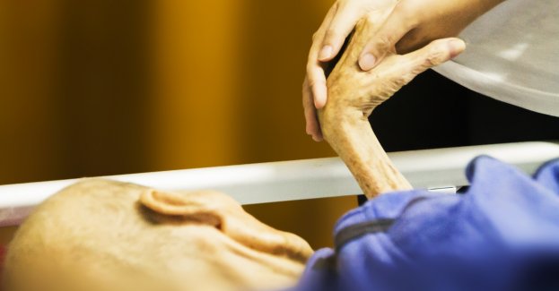 W weekend finałowa kwesta akcji "Pola Nadziei"