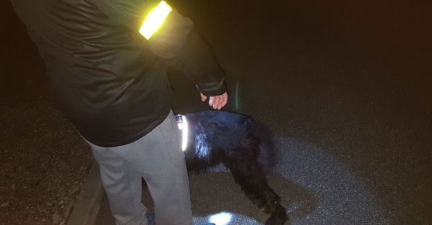 Używajmy elementów odblaskowych i nie lekceważmy obowiązku poruszania się lewą stroną drogi