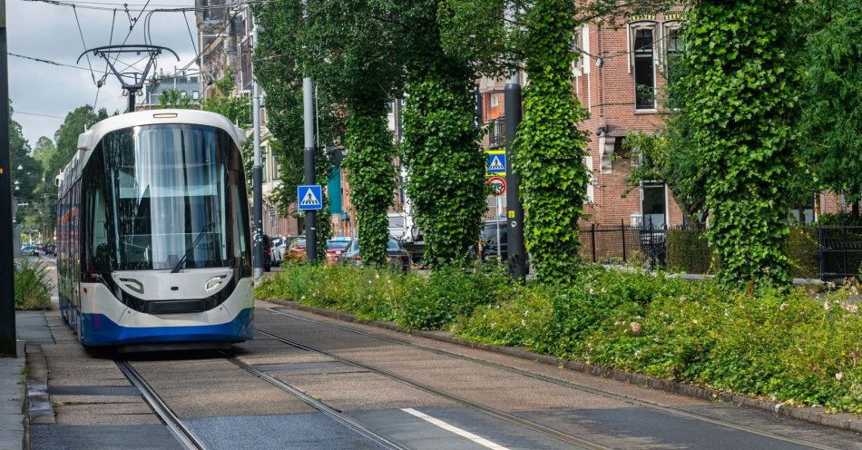 zdjęcie: 19 czerwca tramwaje wrócą na wyremontowane torowisko na ul. Franciszkańskiej / v53029040
