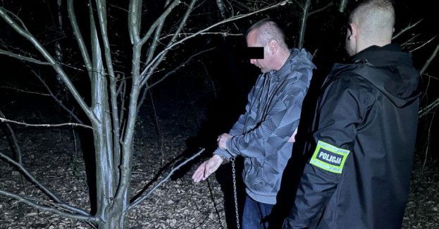 Rabował torebki z cmentarzy - teraz odpowie przed sądem