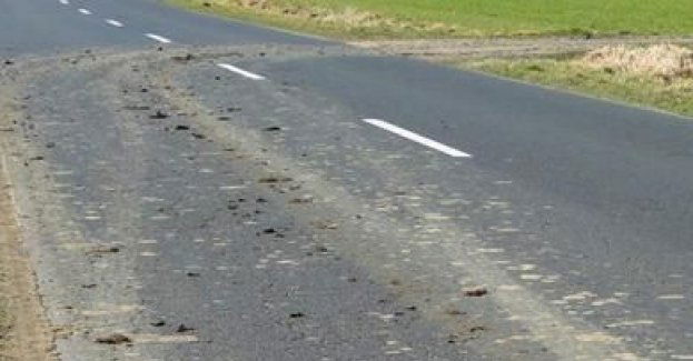 Zanieczyszczenie drogi – co za to grozi?