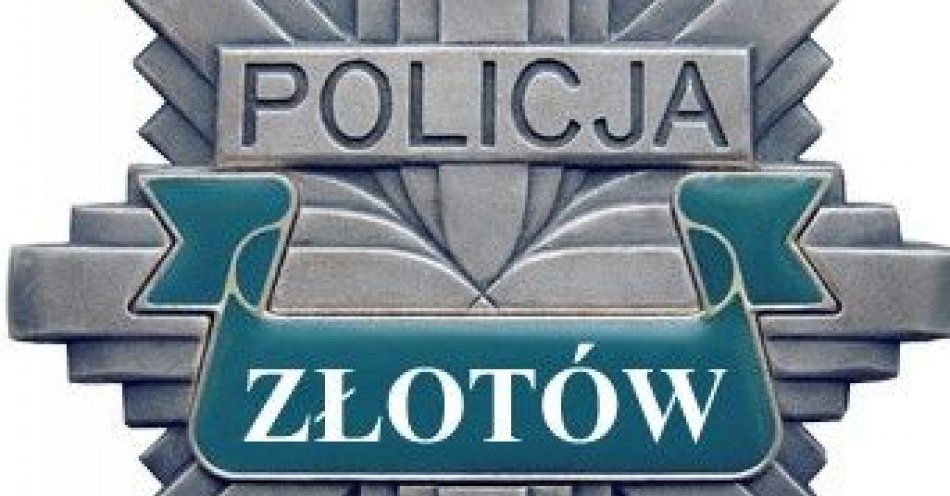 zdjęcie: Kolizja lub wypadek. Czy potrafisz odszyfrować słupek pikietażowy? / fot. KPP Złotów