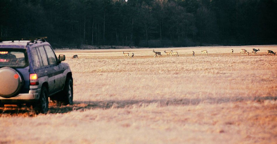 zdjęcie: 40-latek chciał oszukać policjantów, zgłaszając kradzież auta