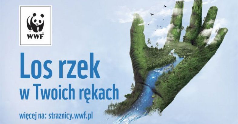 zdjęcie: 17. czerwca Światowy Dzień Walki  z Pustynnieniem i Suszą. / fot. nadesłane