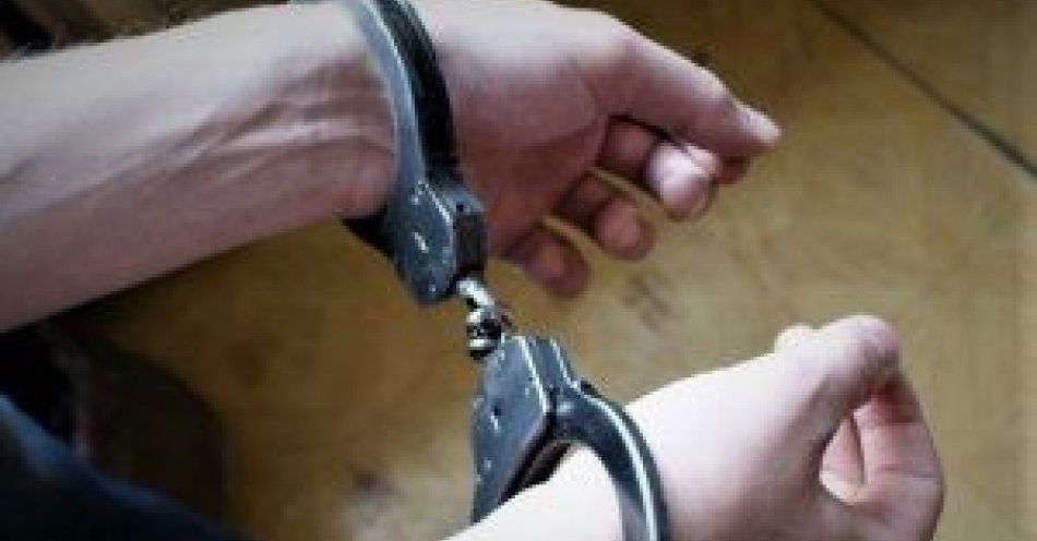 zdjęcie: Kryminalni zatrzymali sprawcę kradzieży drabiny / fot. KPP w Pułtusku