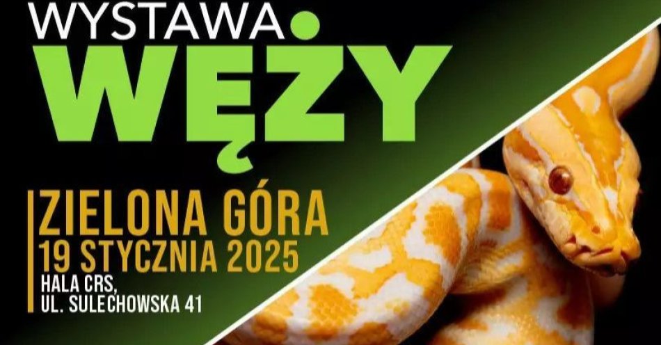 zdjęcie: Wystawa węży - ZooEgzotyka / kupbilecik24.pl / Wystawa węży - ZooEgzotyka