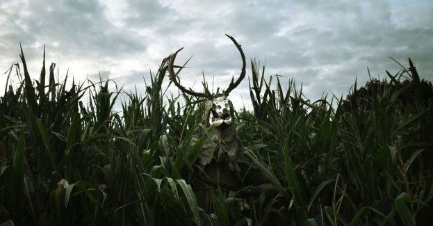 Kultura w obiektywie - rozmowa z Oliwią Kot