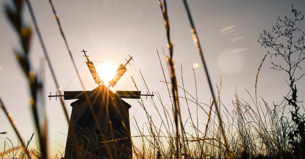 Sobota pod wiatrakiem, czyli Festyn Rodzinny