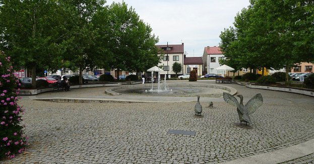 IX Bieg Pilicy w Białobrzegach - sportowe święto nad Pilicą