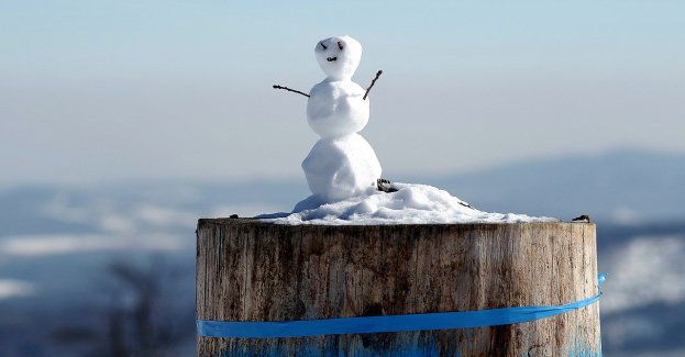 Półzimowiska w elbląskich szkołach