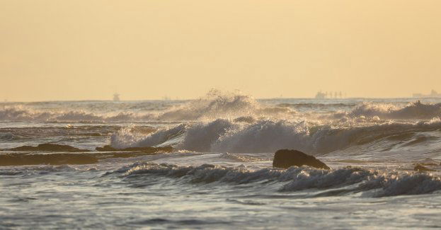 IMGW ostrzega przed silnym wiatrem w poniedziałek