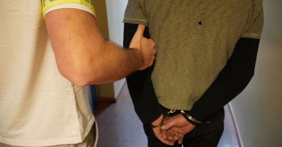 zdjęcie: Areszt za znieważenie wójta i uporczywe nękanie w Ostaszewie / fot. KPP w Nowym Dworze Gdańskim