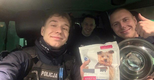 Policjanci uratowali psa przywiązanego do drzewa w centrum